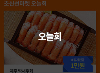 오늘회